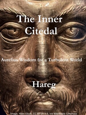 cover image of Aurelius's Wisdom for a Turbulent World